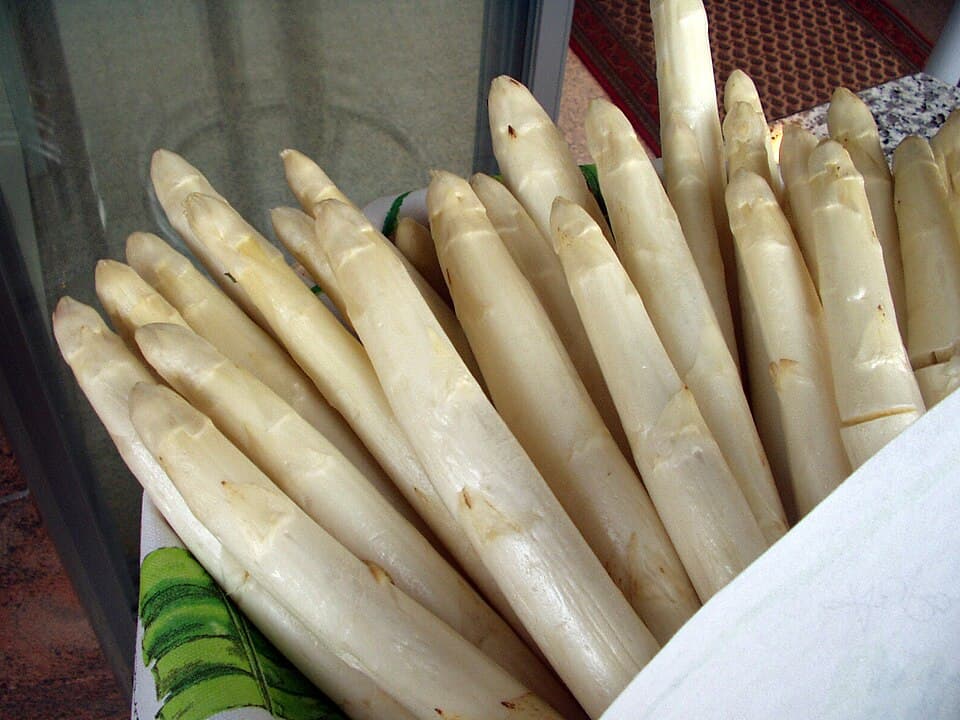Illustration de Asperge