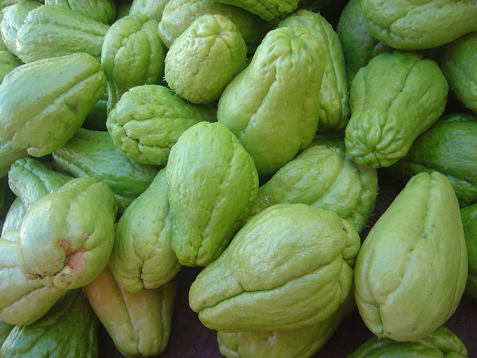 Illustration de Chayote